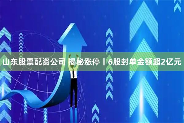 山东股票配资公司 揭秘涨停丨6股封单金额超2亿元